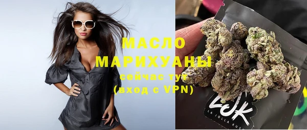 шишки Ельня