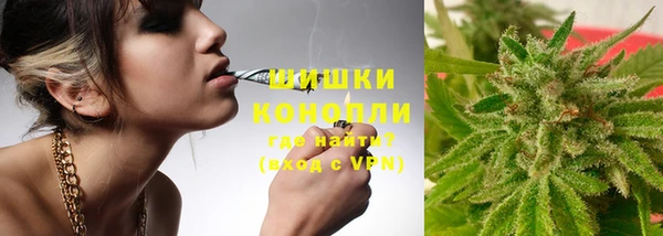 эйфоретик Елизово
