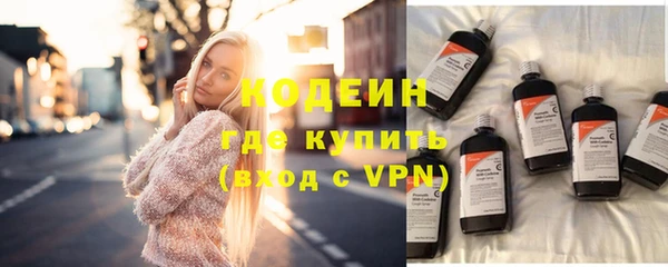 шишки Ельня