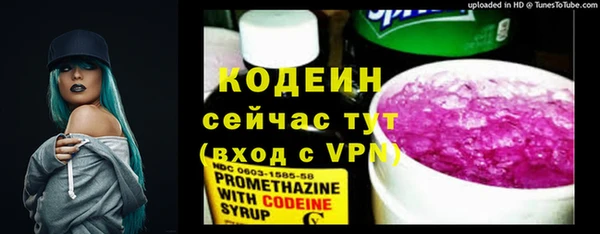 шишки Ельня