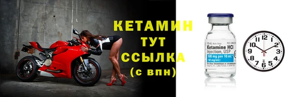 стафф Дмитровск