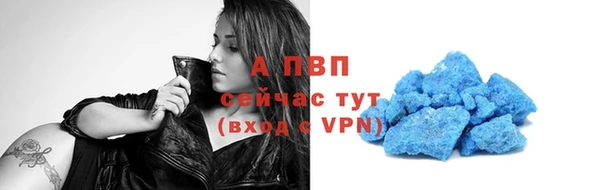 сатива Елабуга