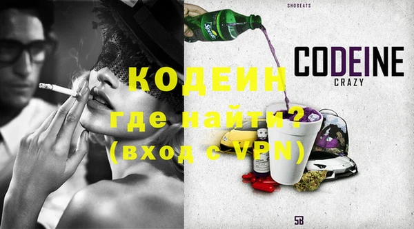 шишки Ельня
