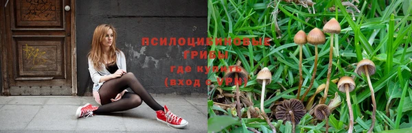 эйфоретик Елизово