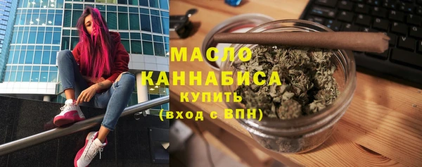 шишки Ельня