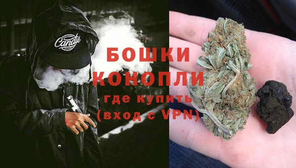 сатива Елабуга