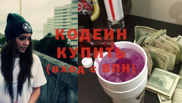 шишки Ельня