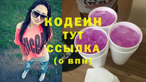 шишки Ельня