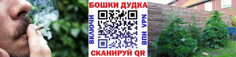 Купить закладки  Городовиковск  Бошки Шишки LSD WEED 